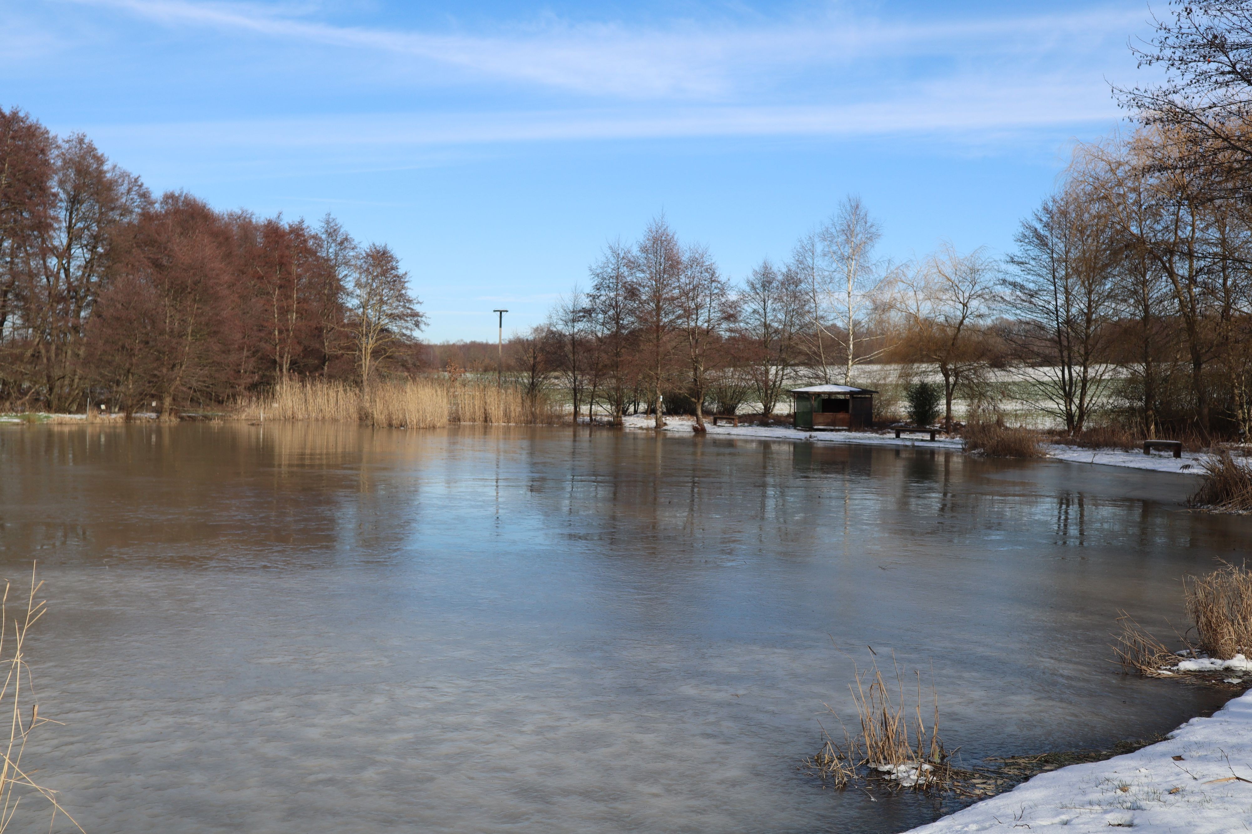 Etang gelé