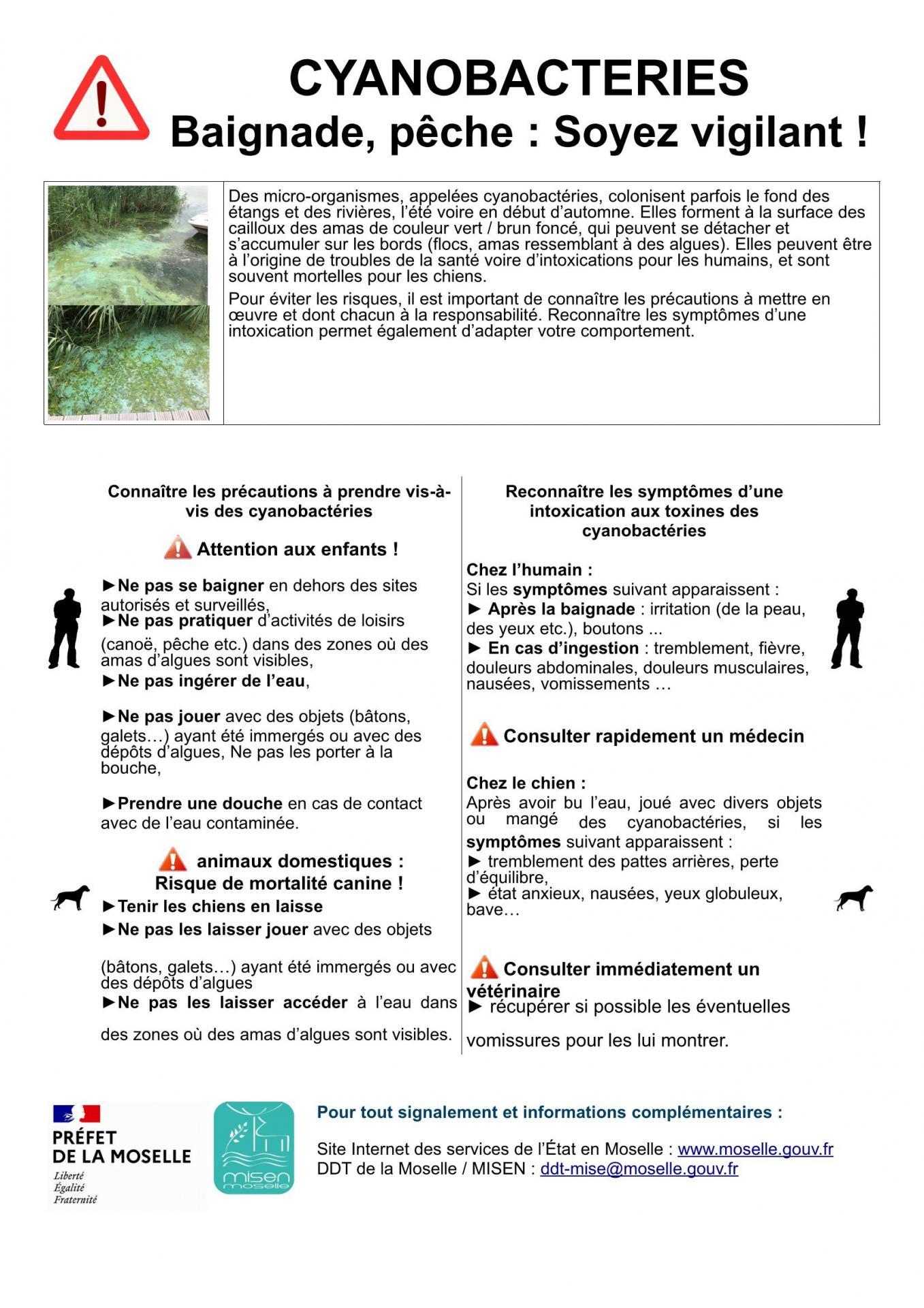 2020 06 29 affiche prevention cyanobacterie v2 page 1