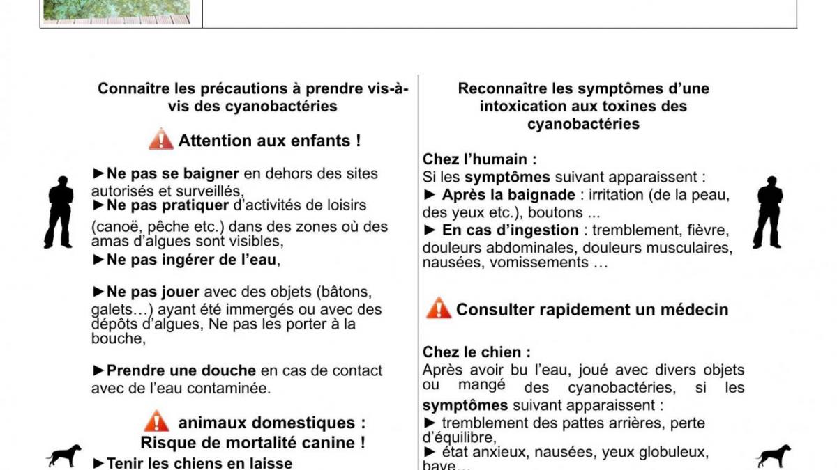2020 06 29 affiche prevention cyanobacterie v2 page 1