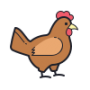 Icons8 poulet 100