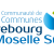 Logo ccmss