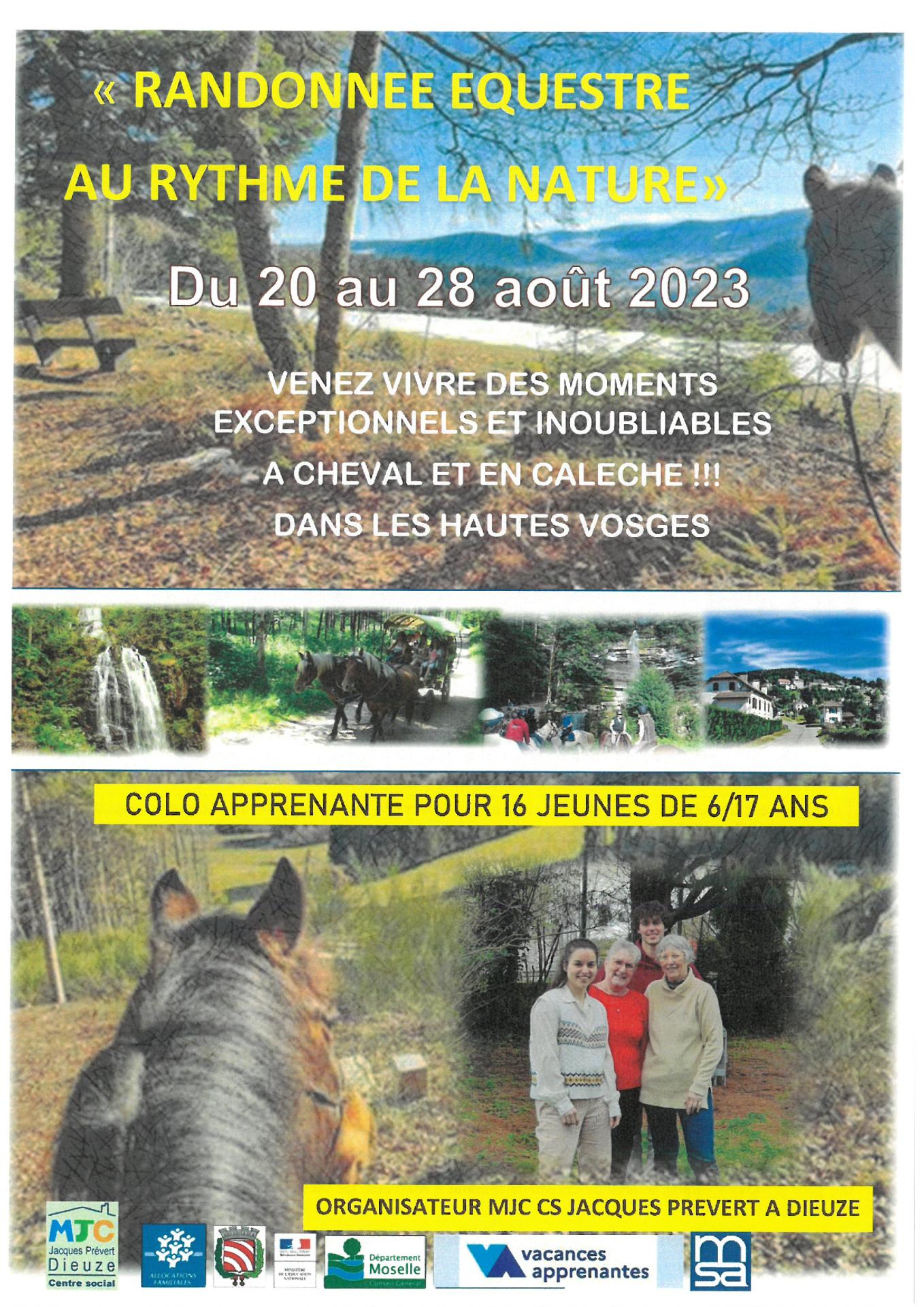 Tract recto equitation